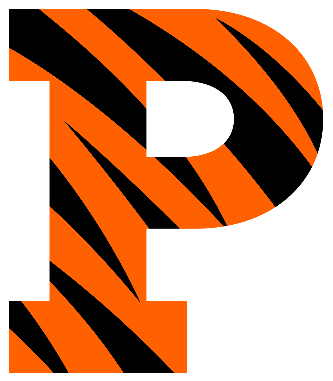 Princeton University